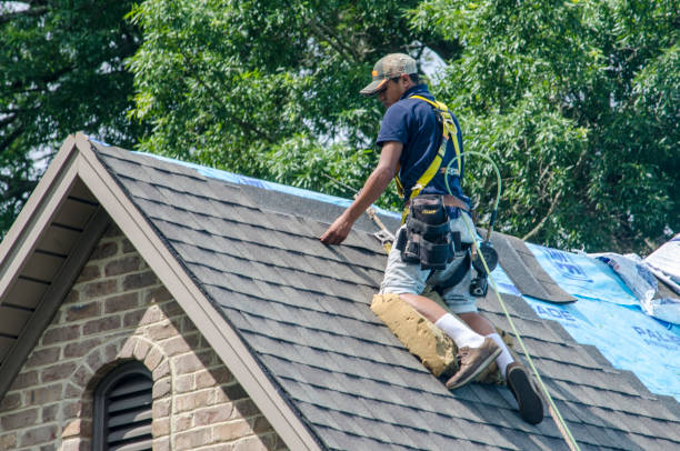 Best Shingle Roofing Installation  in Walker, LA